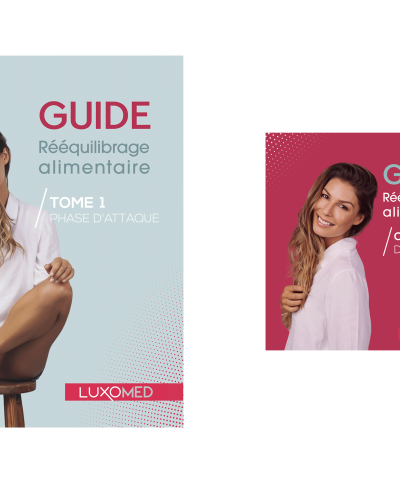 Lot 2 –  Lot de 20  ex Tome 1 (Phase d’attaque) du guide + 20 Carnets de bord